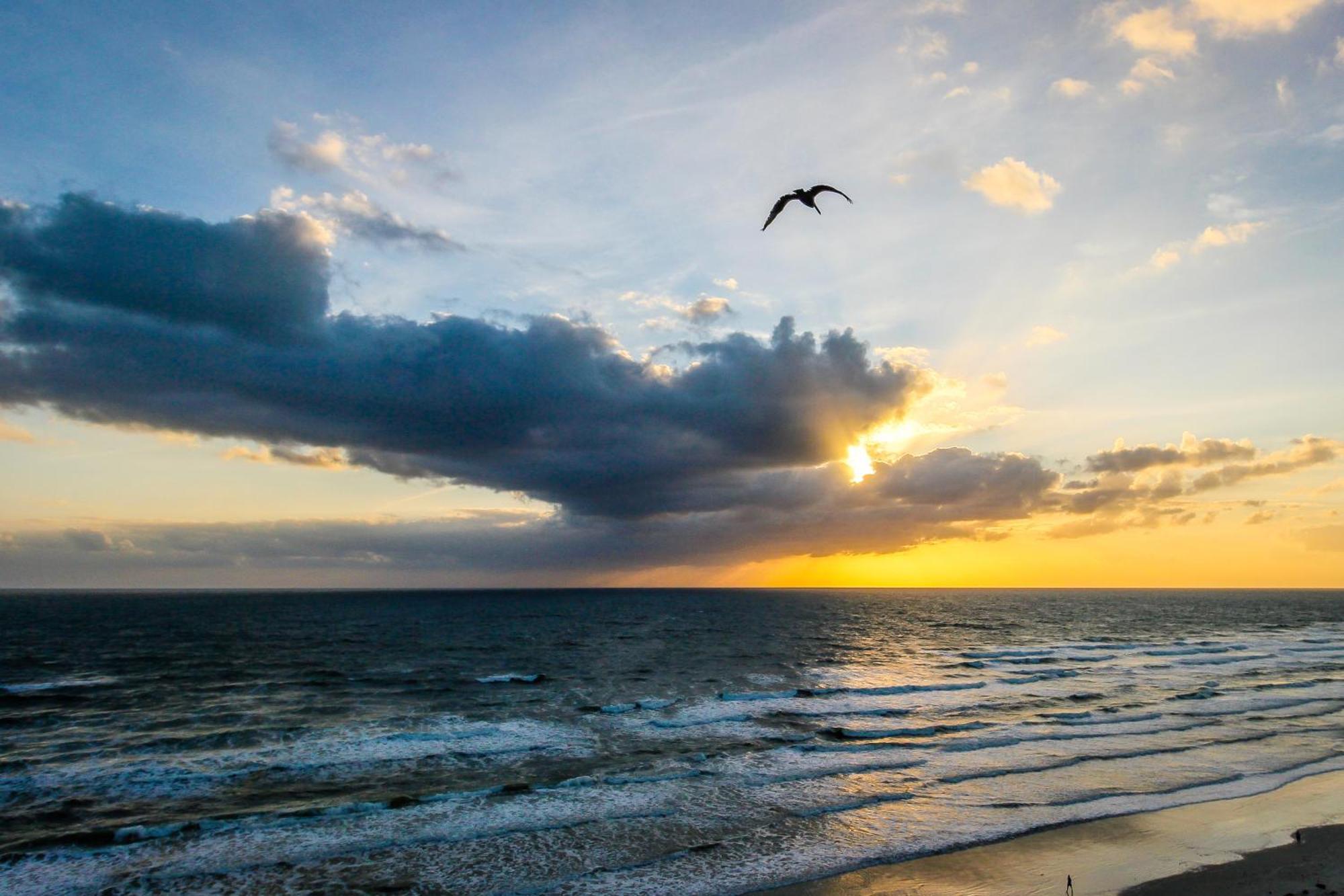 Harbour Beach Resort Daytona Beach Chambre photo